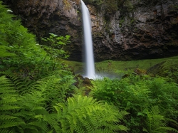 Columbia River Gorge, Skała, Roślinność, Stan Waszyngton, Stany Zjednoczone, Paprocie, Wodospad, Rezerwat przyrody